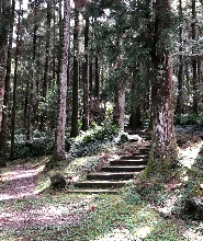 東眼山國家森林遊樂區門票