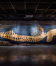 臺南左鎮化石園區門票