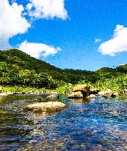 雙流國家森林遊樂區門票