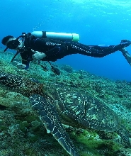 熊潛水Bear Diving - 小琉球岸潛旅遊潛水（需潛水執照）