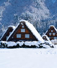 高山市＆白川鄉一日遊（含飛驒牛午餐）