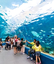 宿霧海洋公園門票