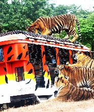 蘇比克野生動物園門票