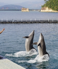 蘇比克灣海洋冒險樂園門票