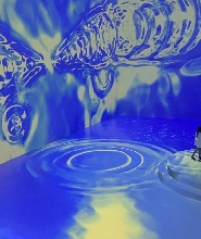 馬尼拉 Art In Island 3D 美術館門票