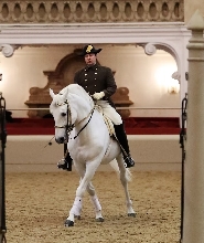 維也納西班牙騎術學校利比紮馬術表演門票