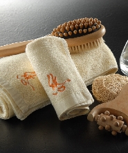 臺北多分店：巖盤美浴悠Spa券