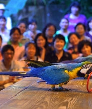 新竹綠世界生態農場門票
