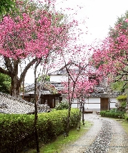 臺北北投文物館參觀券