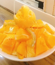 臺南花園水道博物館＆南瀛天文館＆水果之旅一日遊