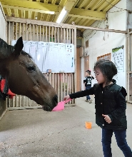 宜蘭噶馬蘭馬術運動場騎馬體驗｜戶外・河畔騎乘