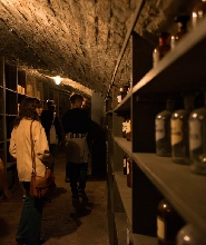 維也納歷史地下藥房探索之旅