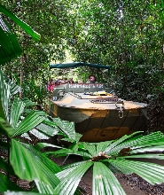 凱恩斯出發| 昆士蘭熱帶雨林自然公園一日遊