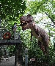 克拉克恐龍島公園門票