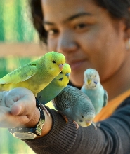 菲律賓大雅臺 Residence Inn Zoori 門票