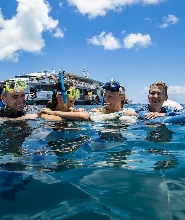 澳大利亞大堡礁郵輪巡航一日遊（艾爾利海灘 / 漢密爾頓島出發）