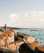塔斯曼尼亞火焰灣及65號租約全日拼團遊