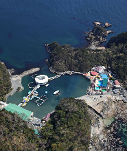日本靜岡下田海中水族館門票