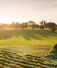 天鵝河谷美食 & 美酒中文導覽一日遊