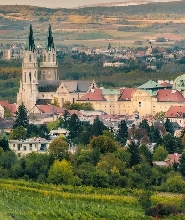 克洛斯特新堡修道院酒窖之旅及品酒