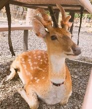 屏東墾丁墾草趣親子園區門票