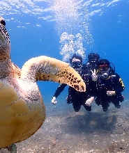 屏東｜小琉球綠蠵龜潛水住宿｜潛水體驗・OW初階潛水員課程