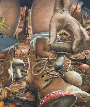 格拉斯哥街頭藝術徒步探索之旅