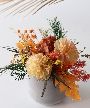 臺北: 原生態工作室 - 花藝＆植物生態瓶＆青苔球製作＆空氣鳳梨（須電話預約）