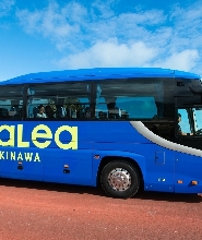 日本美濱美國村巴士票