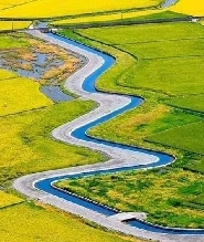 宜蘭黃金河稻獨木舟劃船體驗