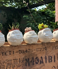 金門｜風獅爺療癒盆栽手體驗｜含到府宅配DIY包