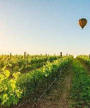 獵人谷日出熱氣球之旅
