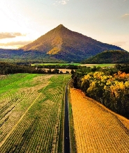 凱恩斯亞瑟頓高原尋找鴨嘴獸夜遊含BBQ晚餐(中文導覽)