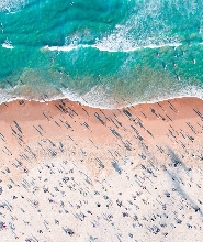 2小時邦迪海灘近海快速遊船