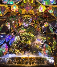 奈良金魚博物館門票