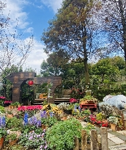 苗栗卓也小屋門票