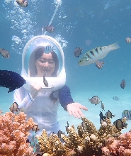 菲律賓長灘島海底漫步體驗