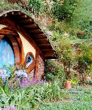 苗栗哈比丘茶樹森林門票