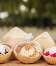 Co+Nut+Ink-聖淘沙/濱海藝術中心/烏節路