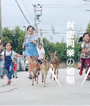 桃園山腳鹿場水鹿之家門票