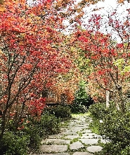 陽明山福田園休閒農場門票