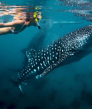 菲律賓宿霧南部精華2日遊