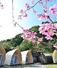 苗栗露營｜山川密境露營區｜彩虹貨櫃小屋露營體驗