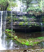 荷巴特出發| 羅素瀑布 & 波諾朗野生動物保護區一日遊