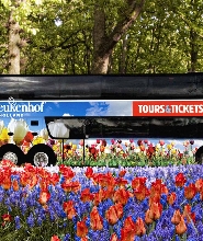 庫肯霍夫門票 + 阿姆斯特丹往返接送