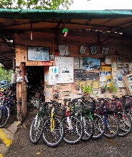 新加坡烏敏島自行車租借