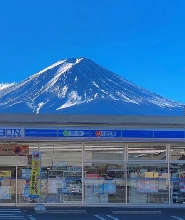 東京/新宿出發 | 富士山網紅景點打卡一日遊  天梯小鎮 忍野八海  河口湖 羅森便利店（每日發團）