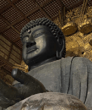 從京都或大阪出發：奈良下午導覽之旅