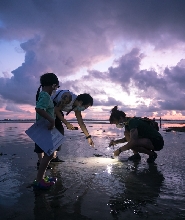新加坡樟宜海灘潮間帶探索之旅
