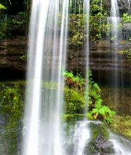 塔斯馬尼亞霍巴特費爾德山公園一日遊(中文導覽)